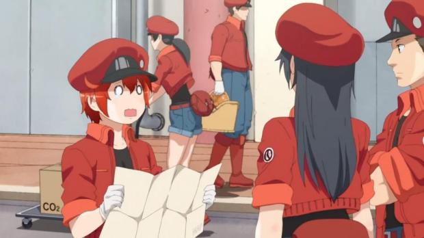 hataraku-saibou-1x1-1