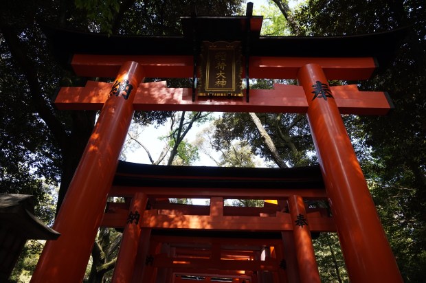 inarishrine7